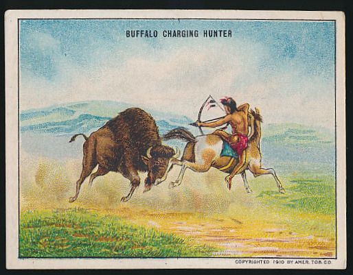 Buffalo Charging Hunter
